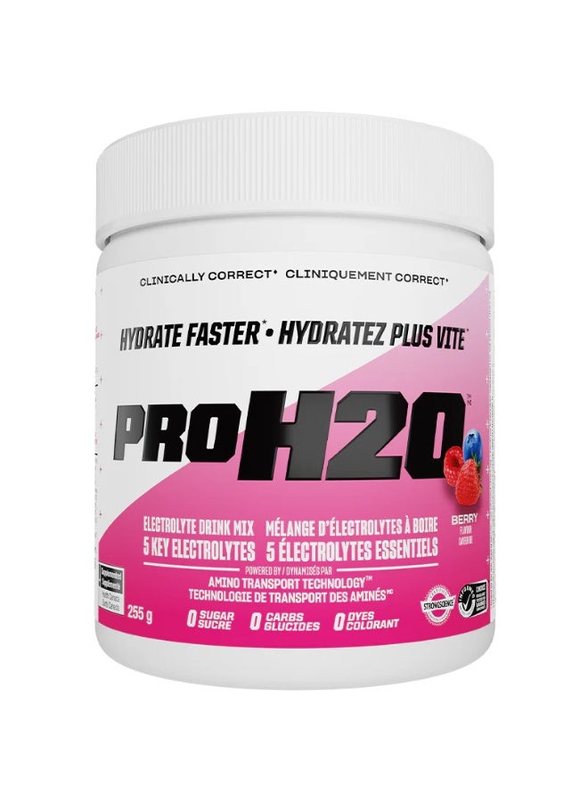 PVL Pro Series Pro H2O Berry Blast 255 g